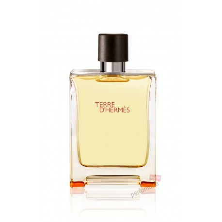 Hermes Terre D'Hermes Woda Toaletowa 100ml